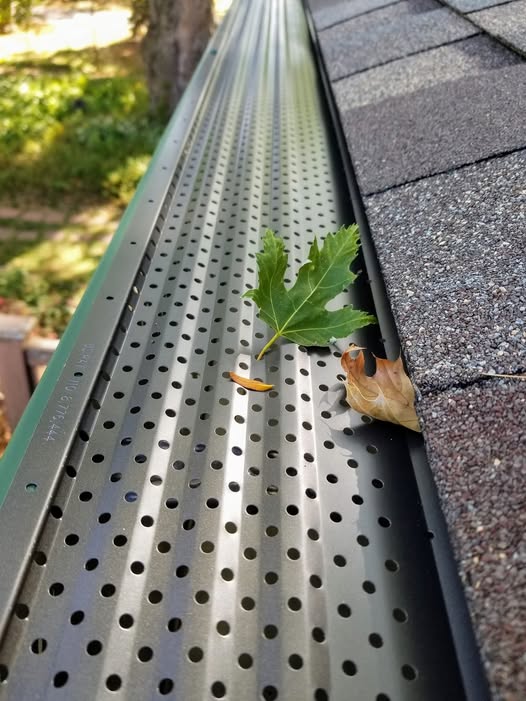 Leaf guard protection system installed over a gutter.